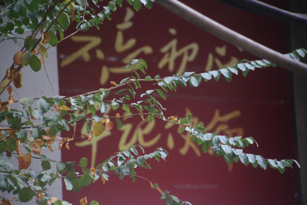伟德国际BETVlCTOR