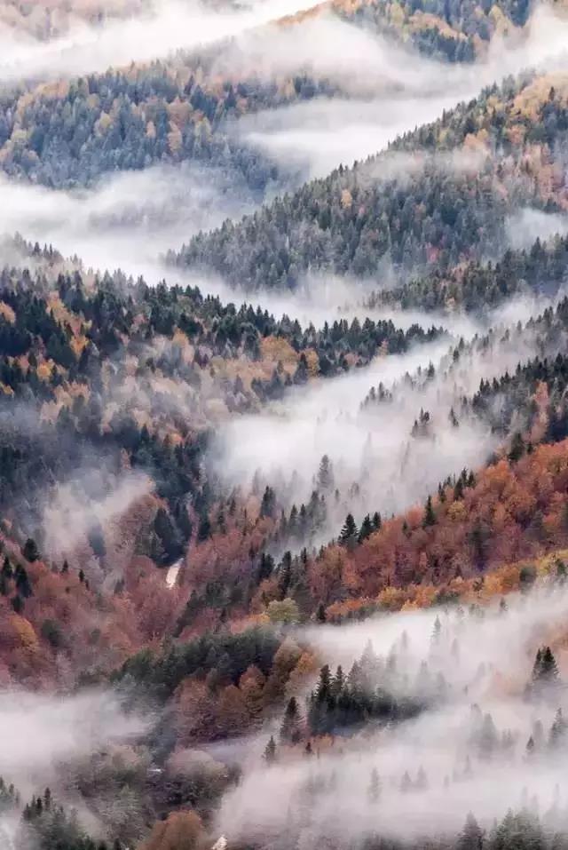 伟德国际BETVlCTOR
