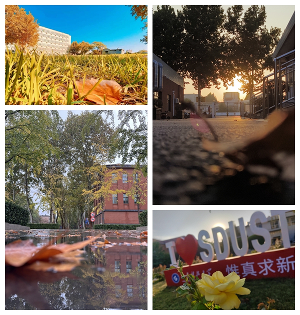 伟德国际BETVlCTOR
