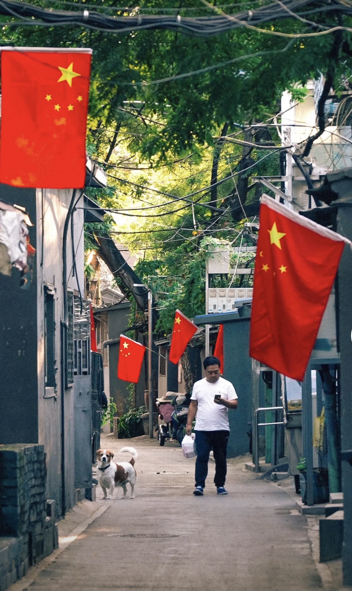 伟德国际BETVlCTOR