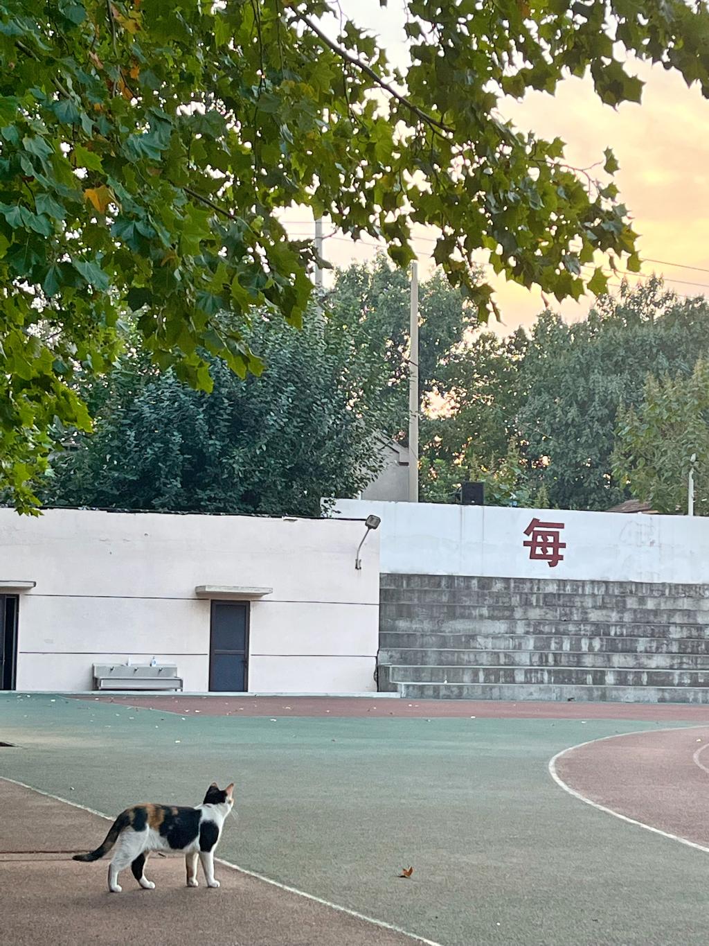 伟德国际BETVlCTOR